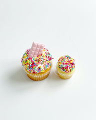 Perhaps A Cake - Mini Cupcake - Lotus Biscoff
